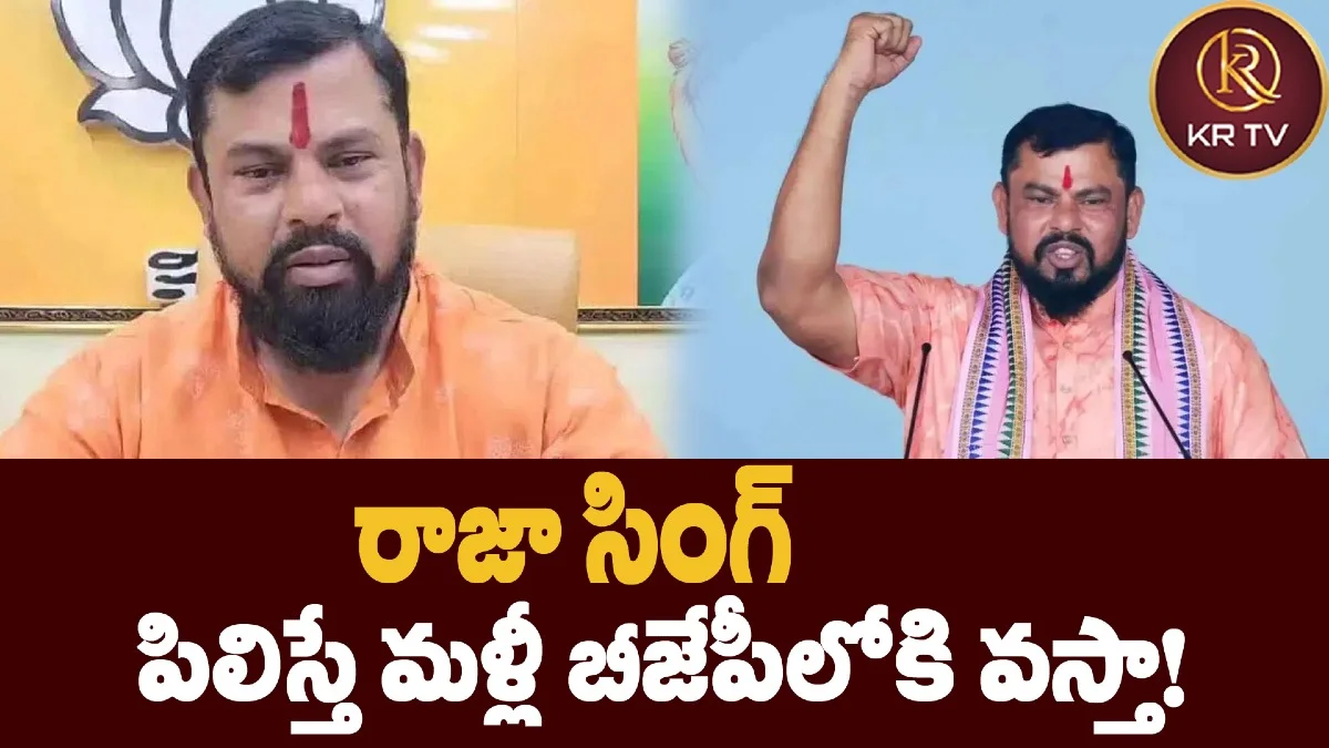 రాజా సింగ్‌: పిలిస్తే మళ్లీ బీజేపీలోకి వస్తా!